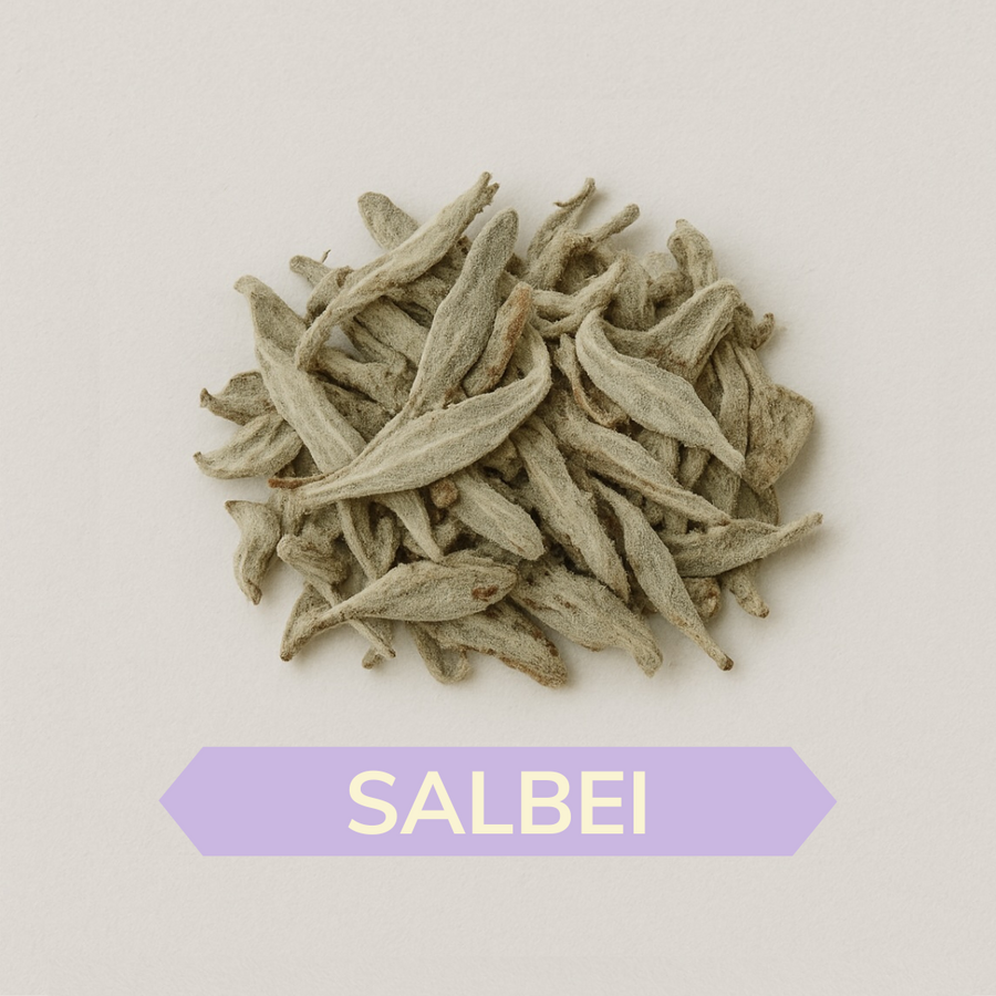 Salbei