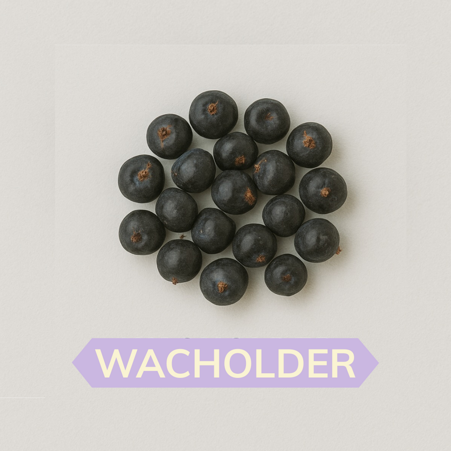 Wacholder