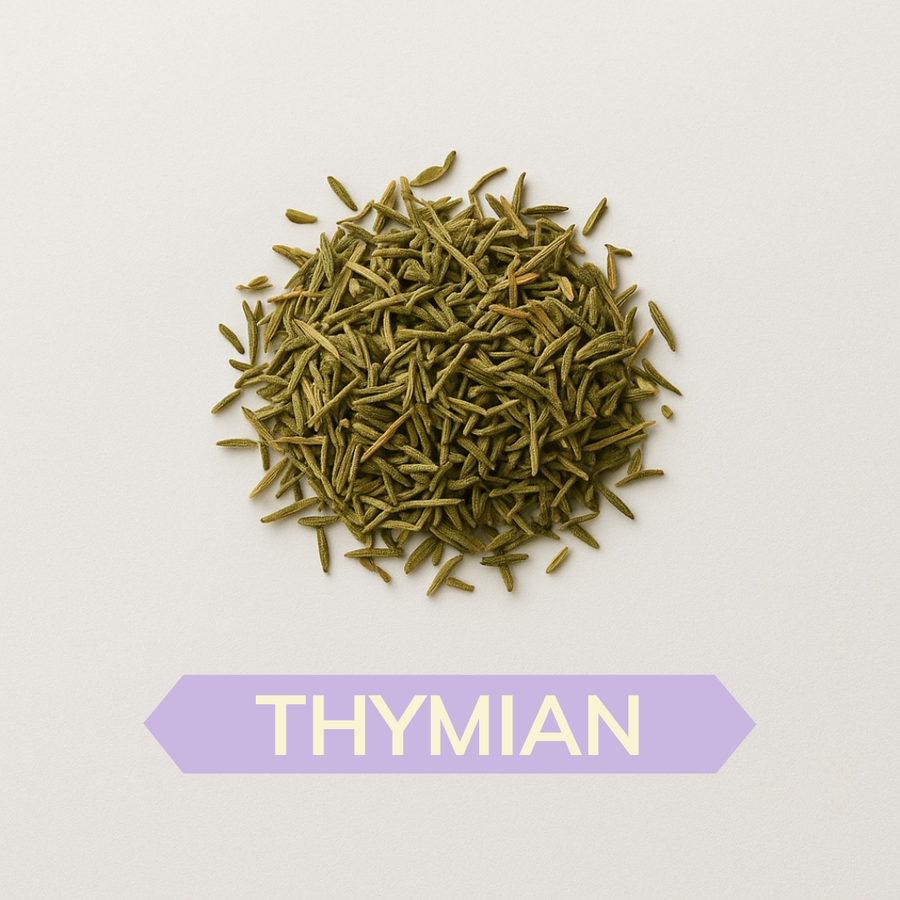 Thymian