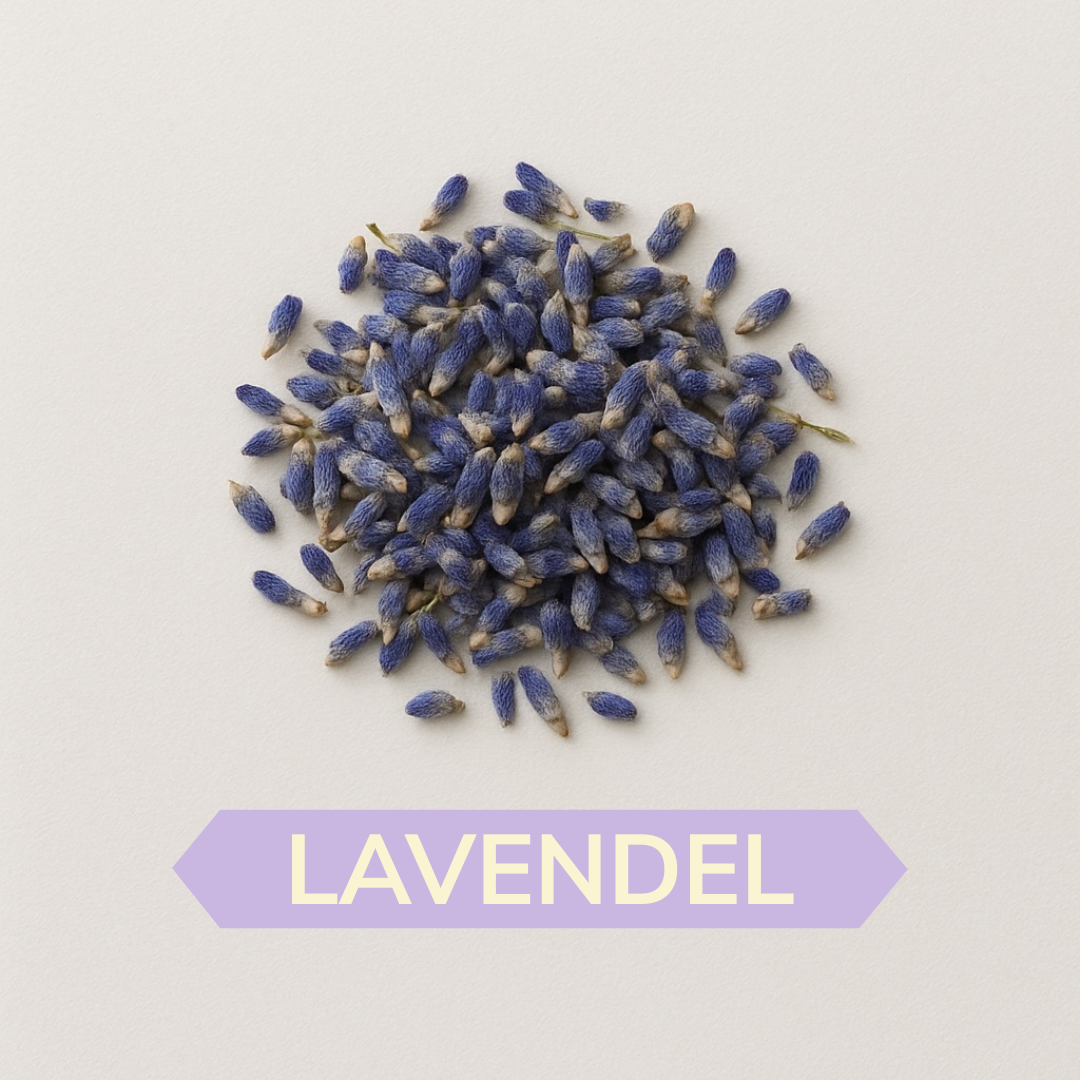 Lavendel