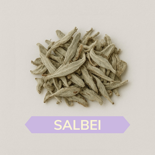 Salbei