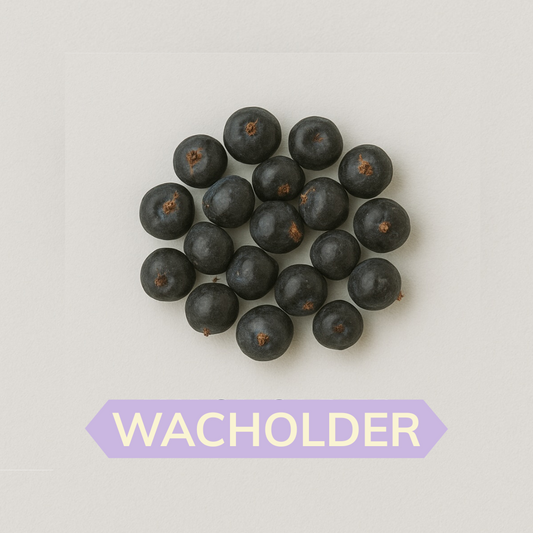 Wacholder