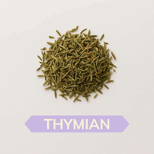 Thymian