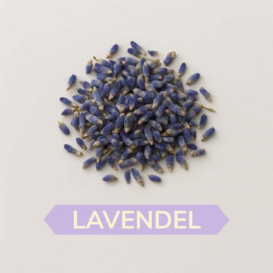 Lavendel